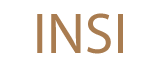 Iris Network Systems Inc logo